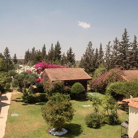 Dar Zitouna Sousse-Tunisie Exteriör bild