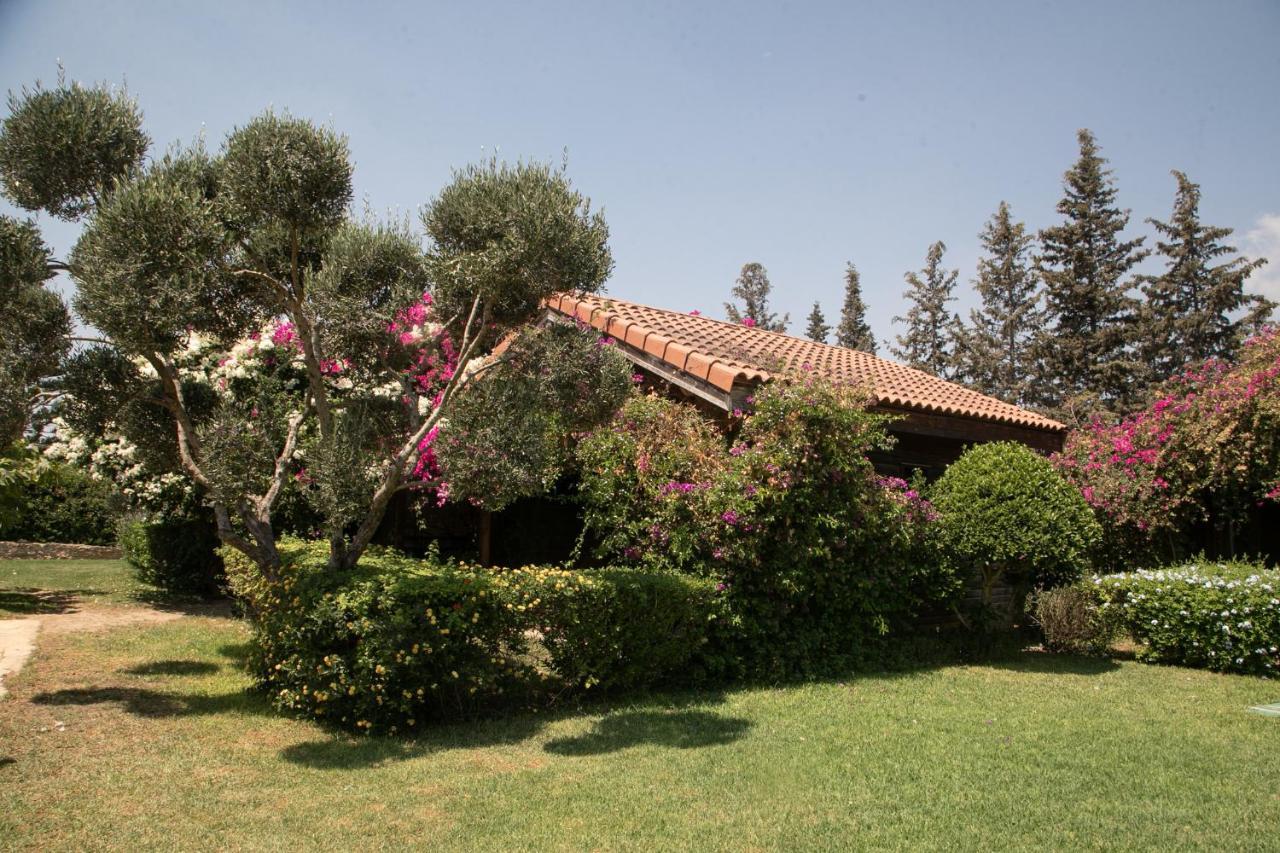 Dar Zitouna Sousse-Tunisie Exteriör bild