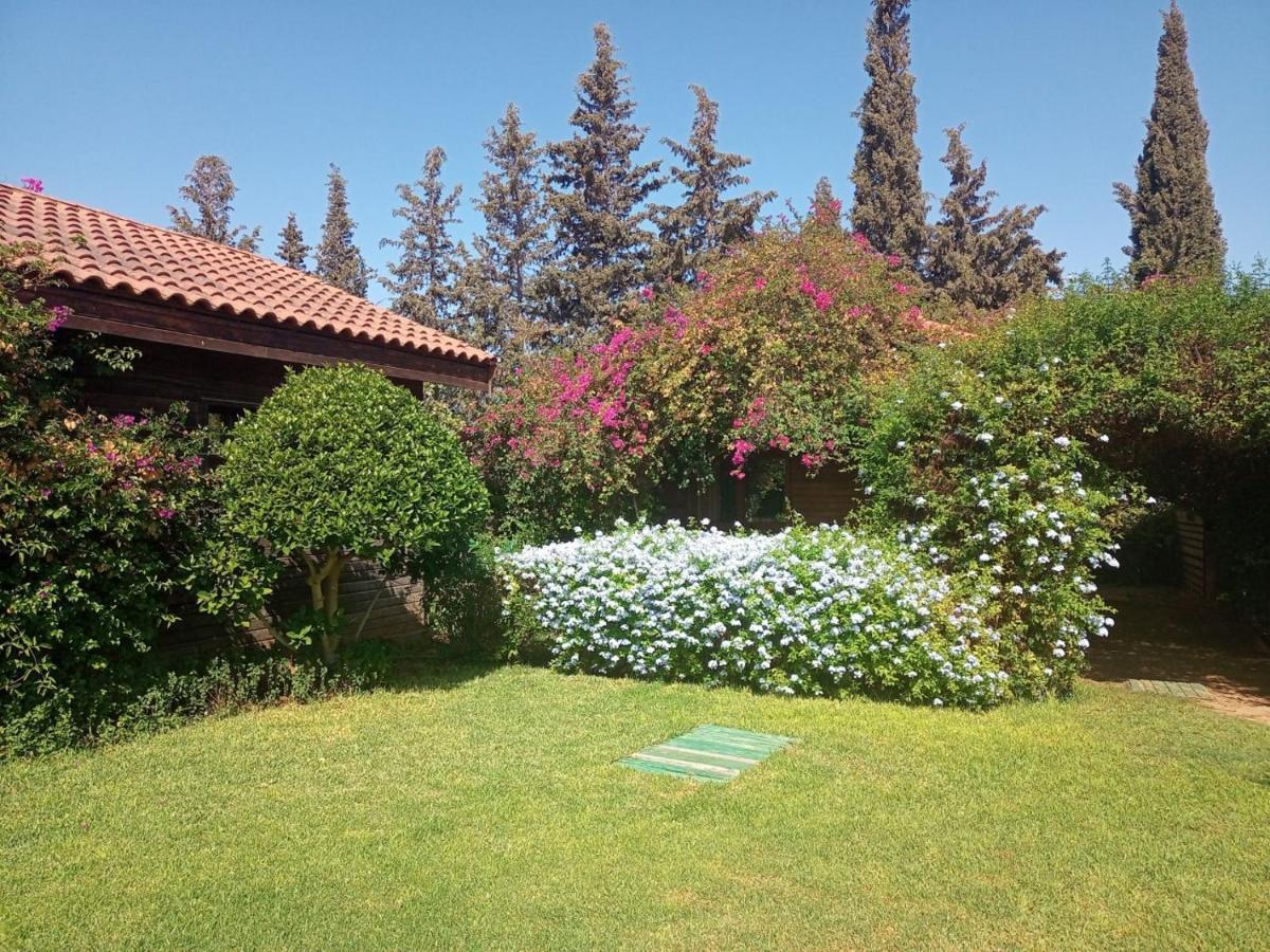 Dar Zitouna Sousse-Tunisie Exteriör bild