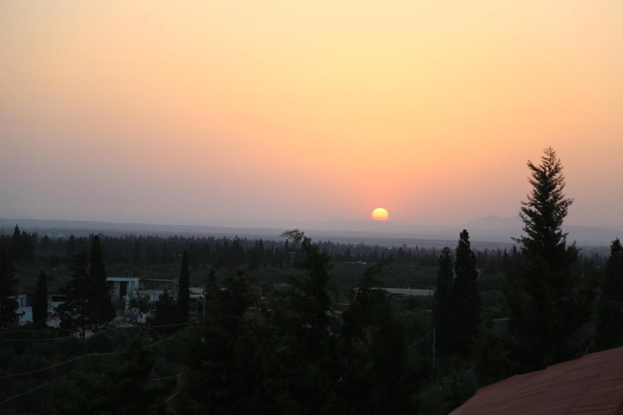 Dar Zitouna Sousse-Tunisie Exteriör bild