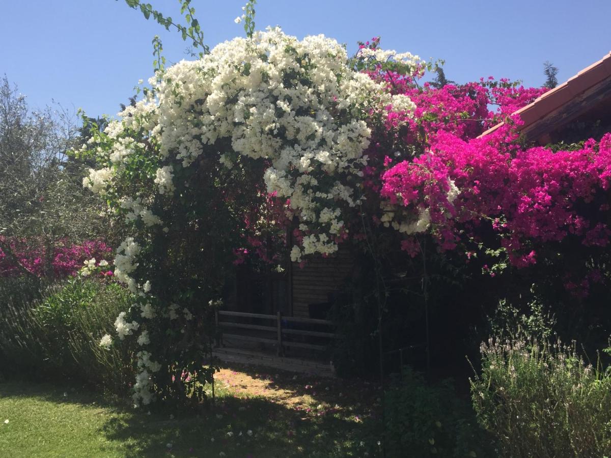 Dar Zitouna Sousse-Tunisie Exteriör bild