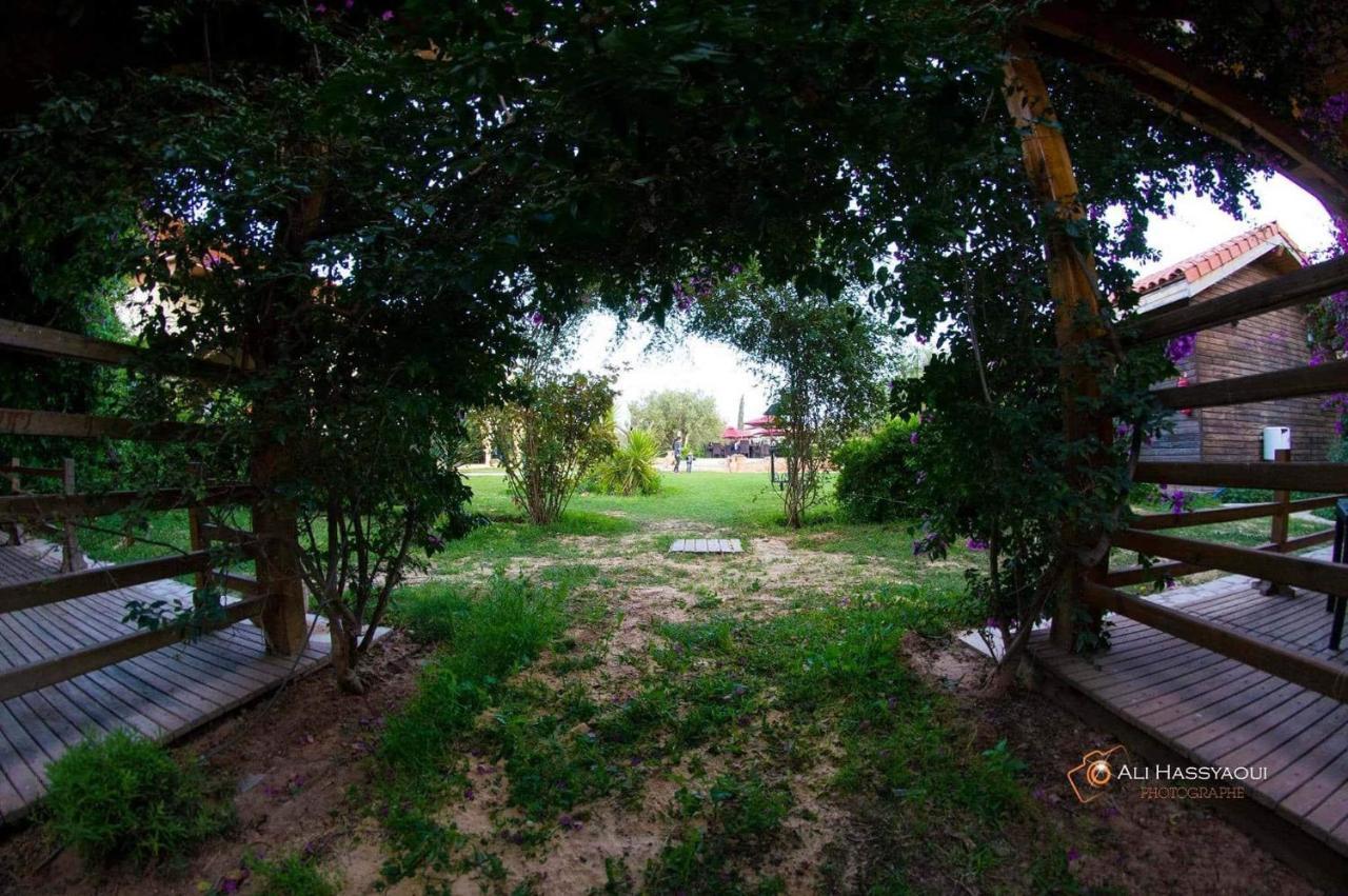 Dar Zitouna Sousse-Tunisie Exteriör bild