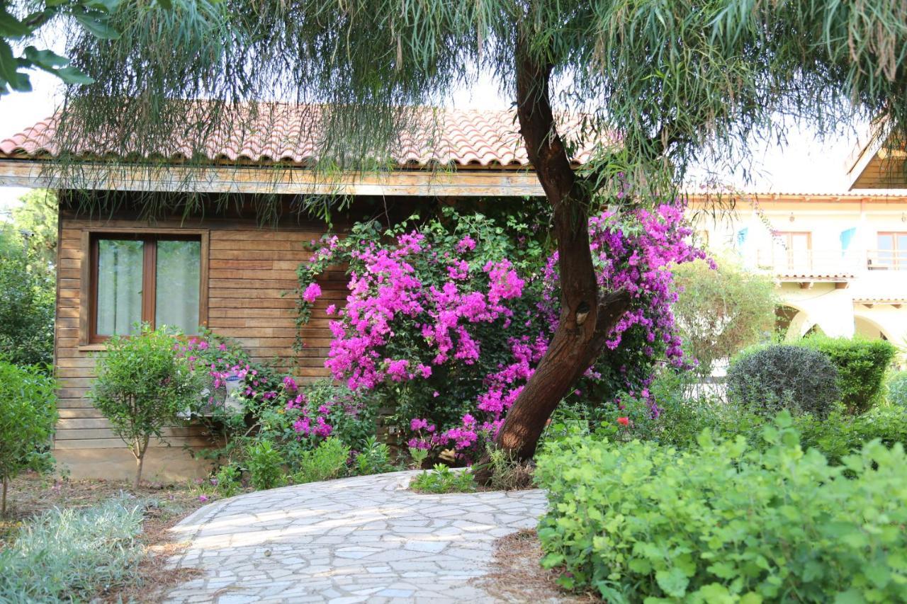 Dar Zitouna Sousse-Tunisie Exteriör bild